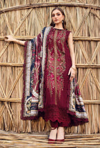 Dhanak 3 Piece Suit with Pashmina Wool Shawl