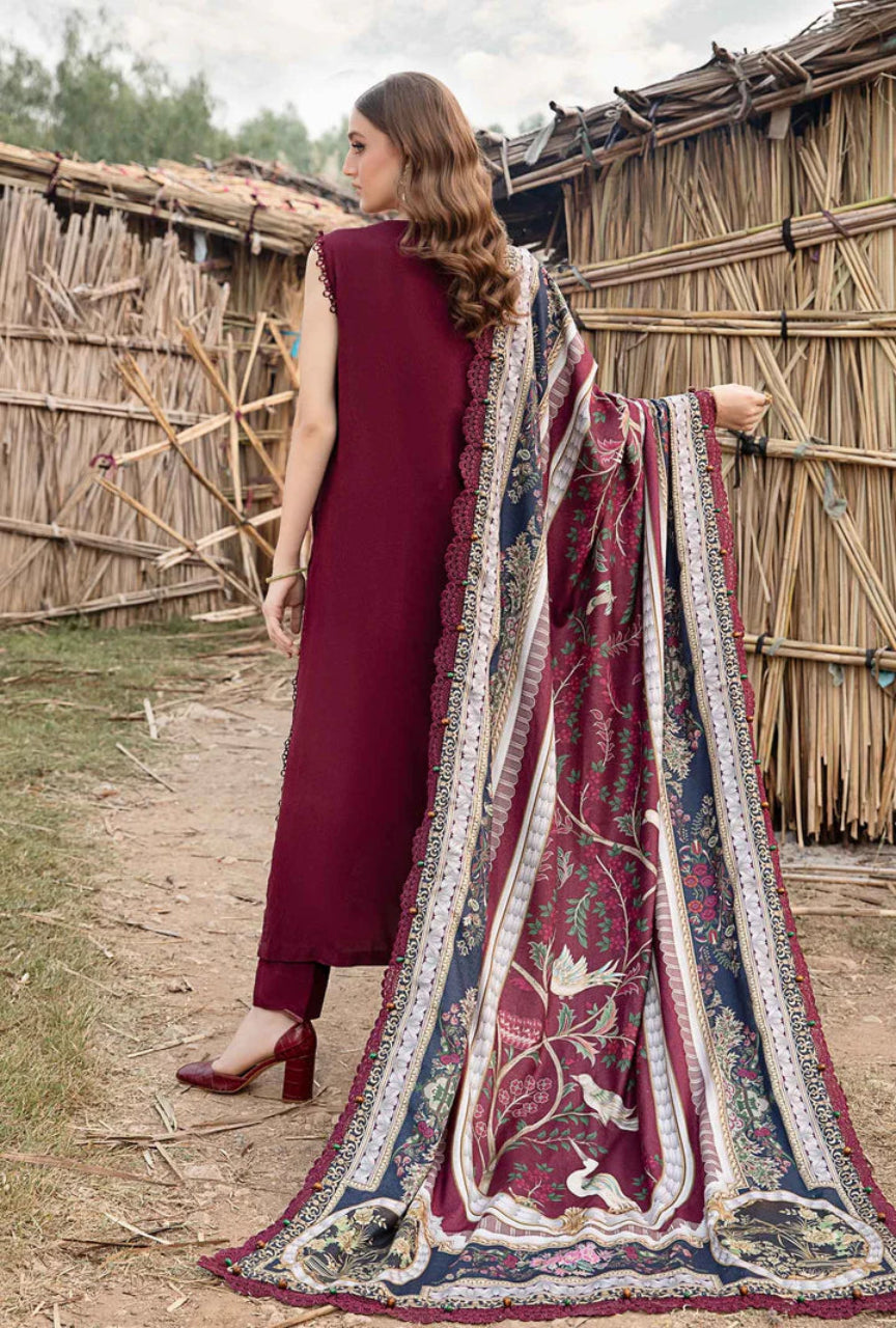 Dhanak 3 Piece Suit with Pashmina Wool Shawl