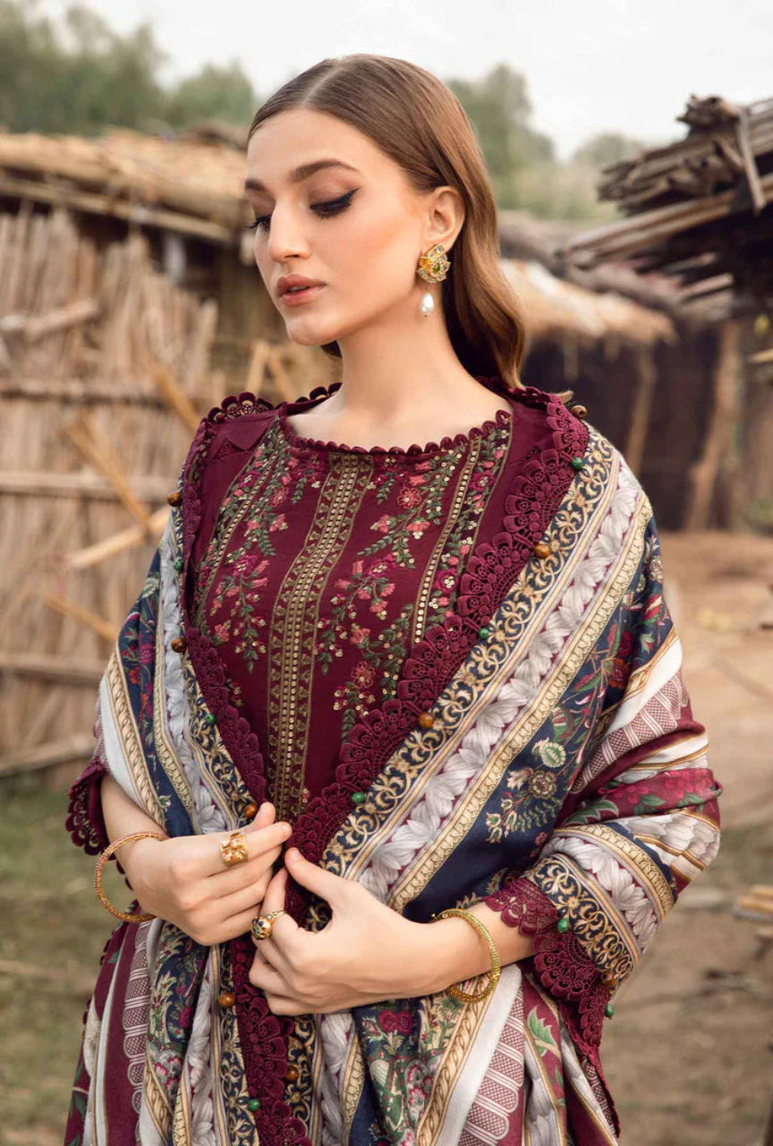 Dhanak 3 Piece Suit with Pashmina Wool Shawl