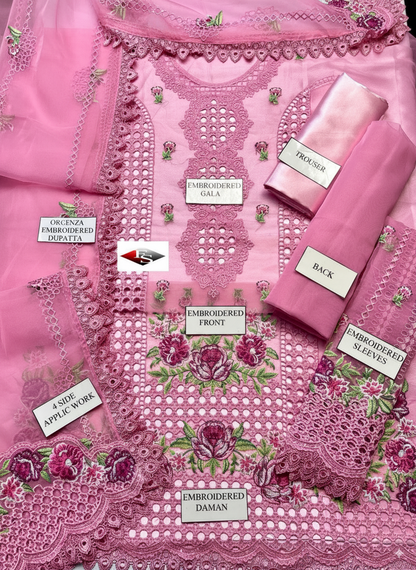 Organza Chikan Kari Embroidered Dress 