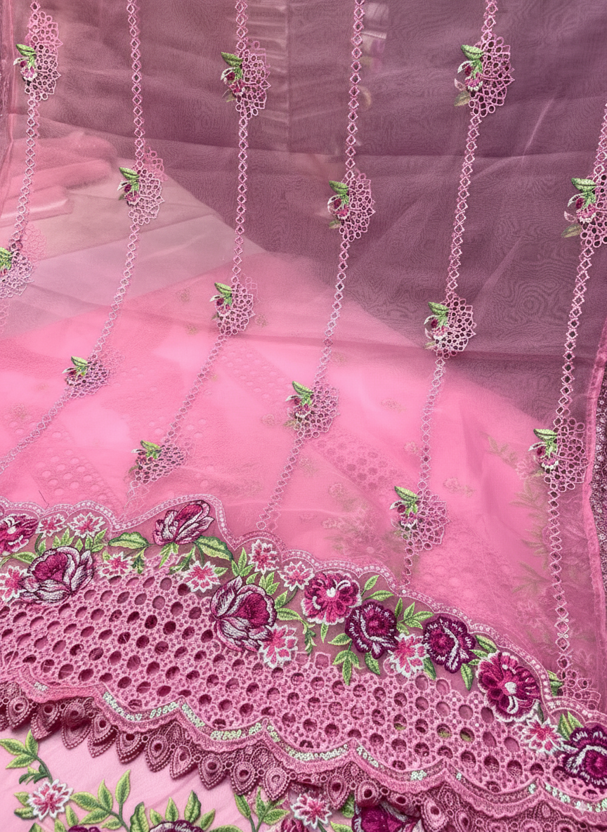 Organza Chikan Kari Embroidered Dress 