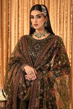 Woman in traditional embroidered outfit with jewelry against a decorative background