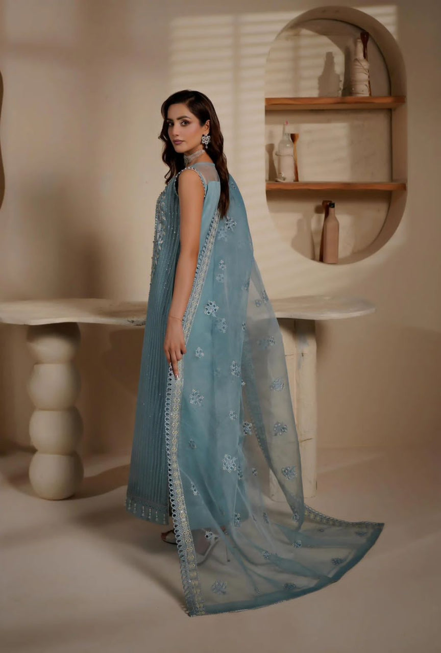 Woman in a light blue embroidered saree standing in a room with shelves in the background
