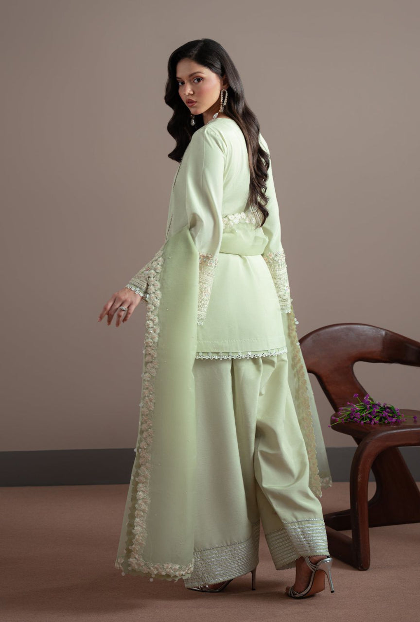 Woman wearing a light green traditional outfit with lace details in a room.