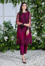 Azure Embroidery 2-Piece Suit Elegant Net Embroidered Kameez & Trouser
