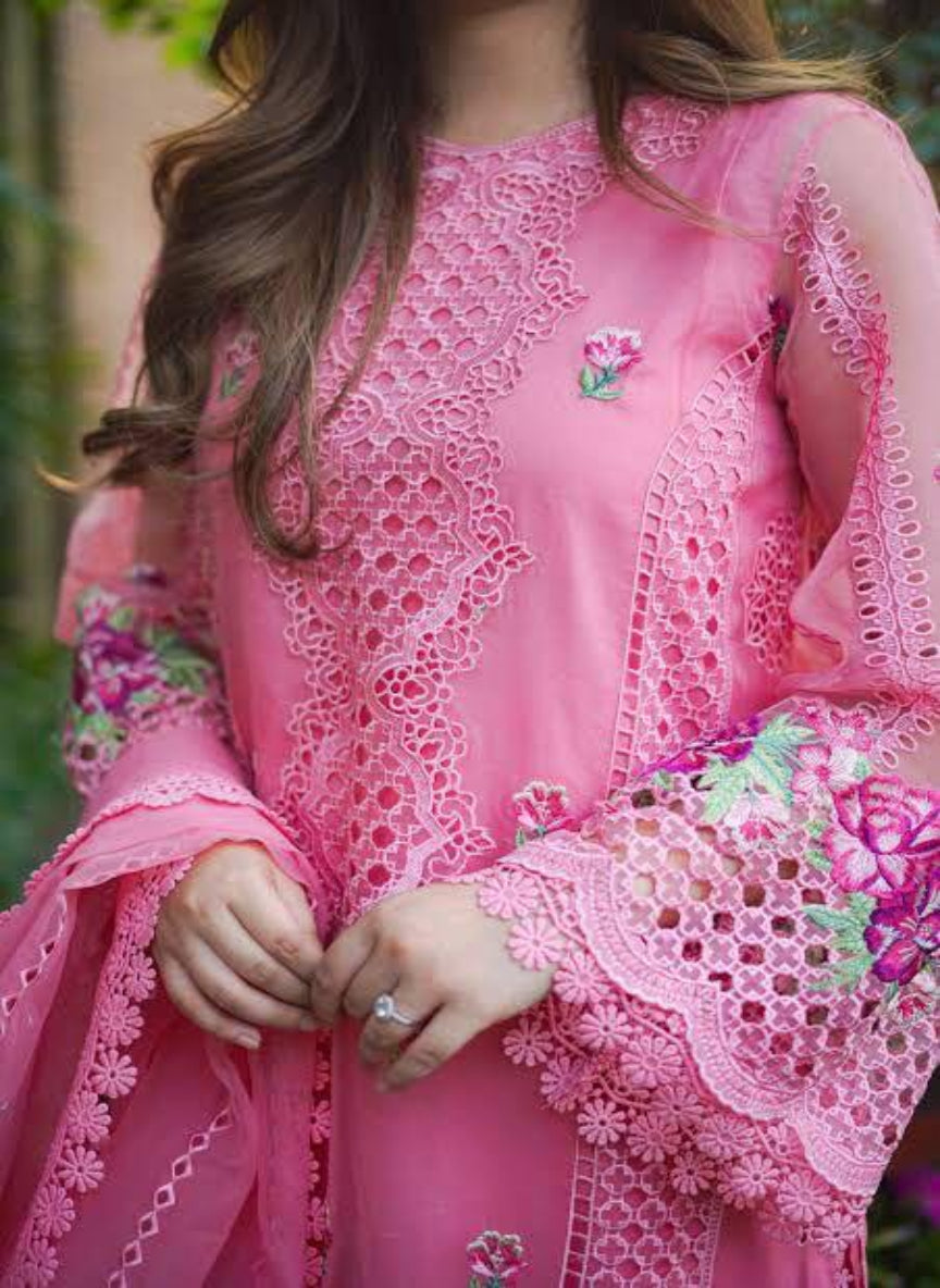 Organza Chikan Kari Embroidered Dress